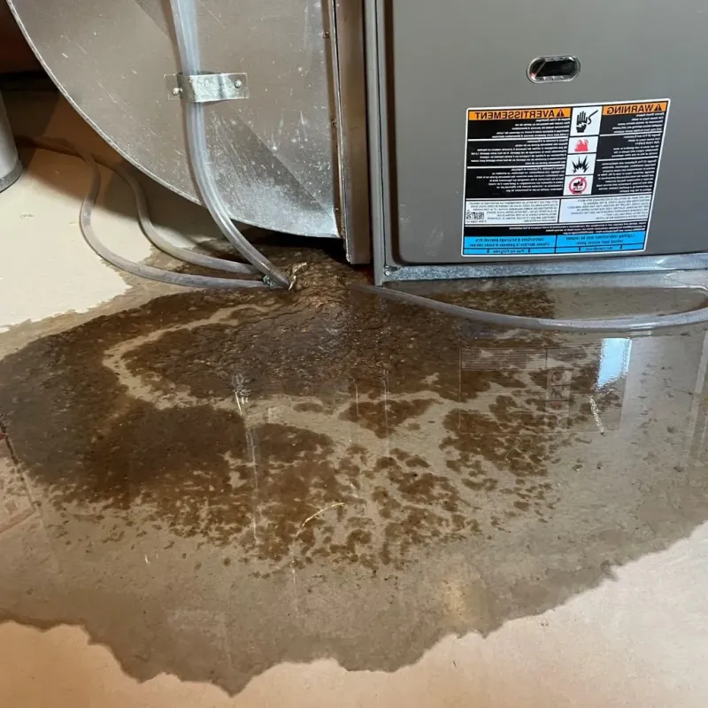 Pipe Burst and Leak Restoration in Windham County, VT